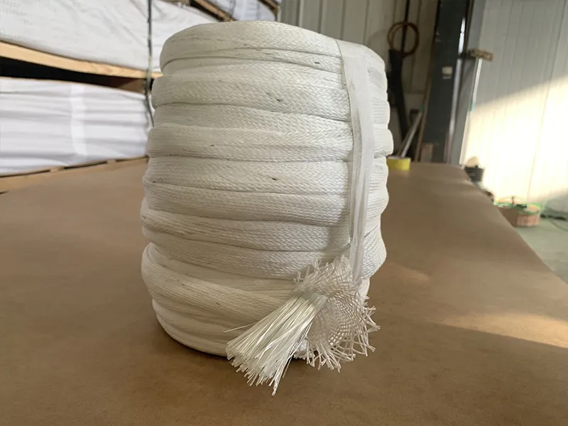 Polyester glass rope