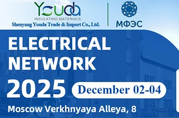 ELECTRICAL NETWORK OF RUSSIA